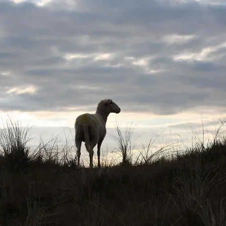Zee En * Egmond aan Zee