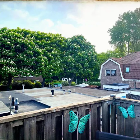 Zee En * エグモント・アーン・ゼー