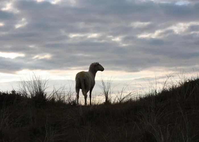 Zee En * Egmond aan Zee