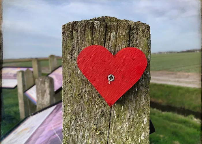 Zee En Egmond aan Zee