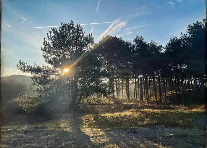 Daire Zee En Egmond aan Zee