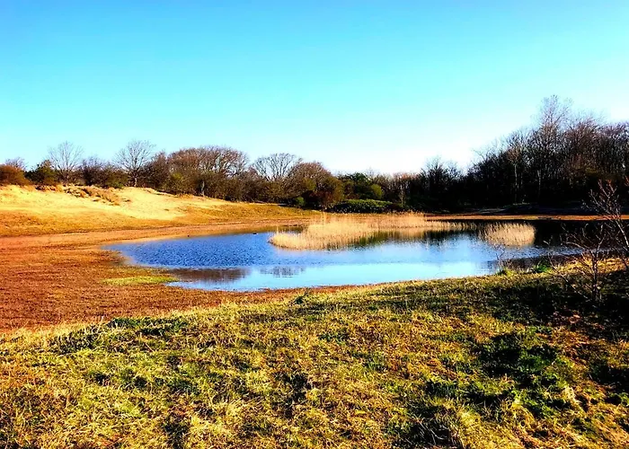 Zee En Daire Egmond aan Zee